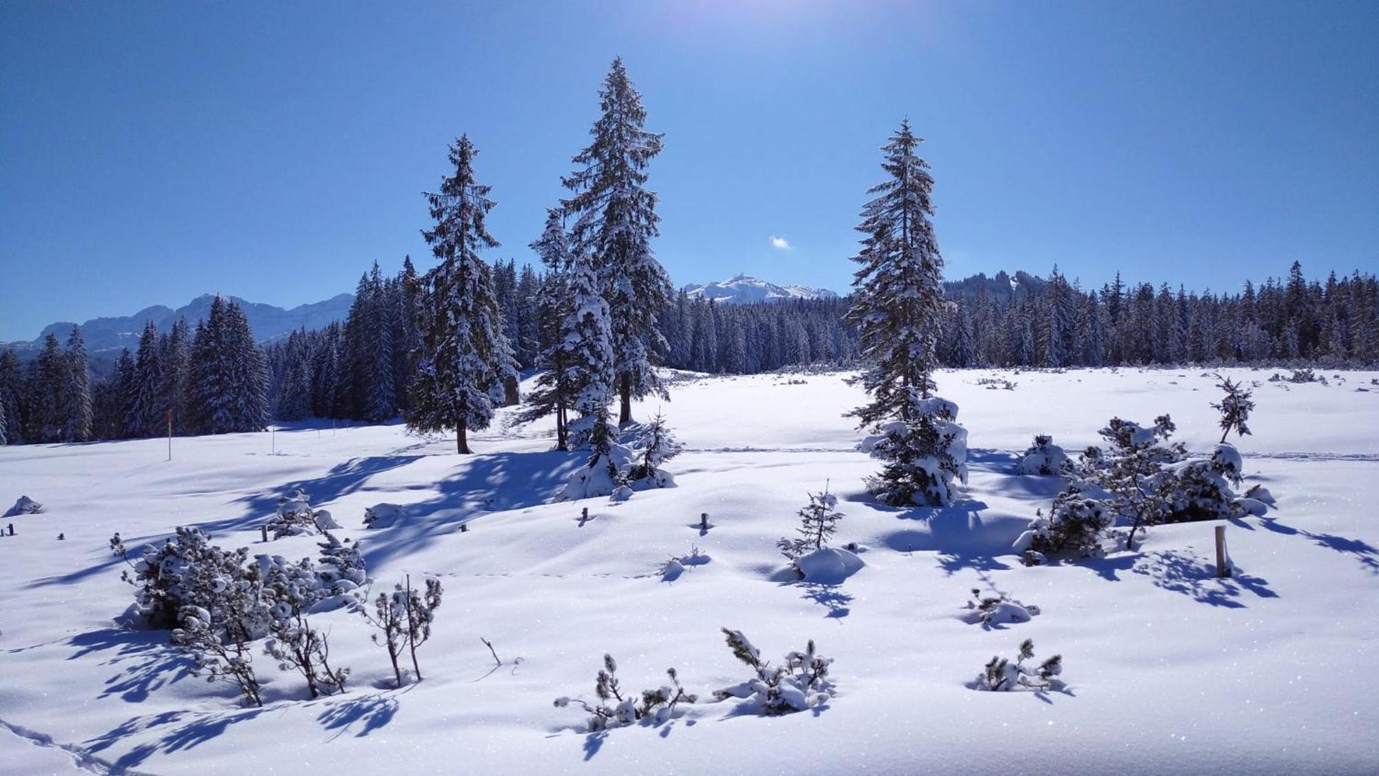 Wellnessoase Mit Sauna Und Whirlpool Inzell Esterno foto