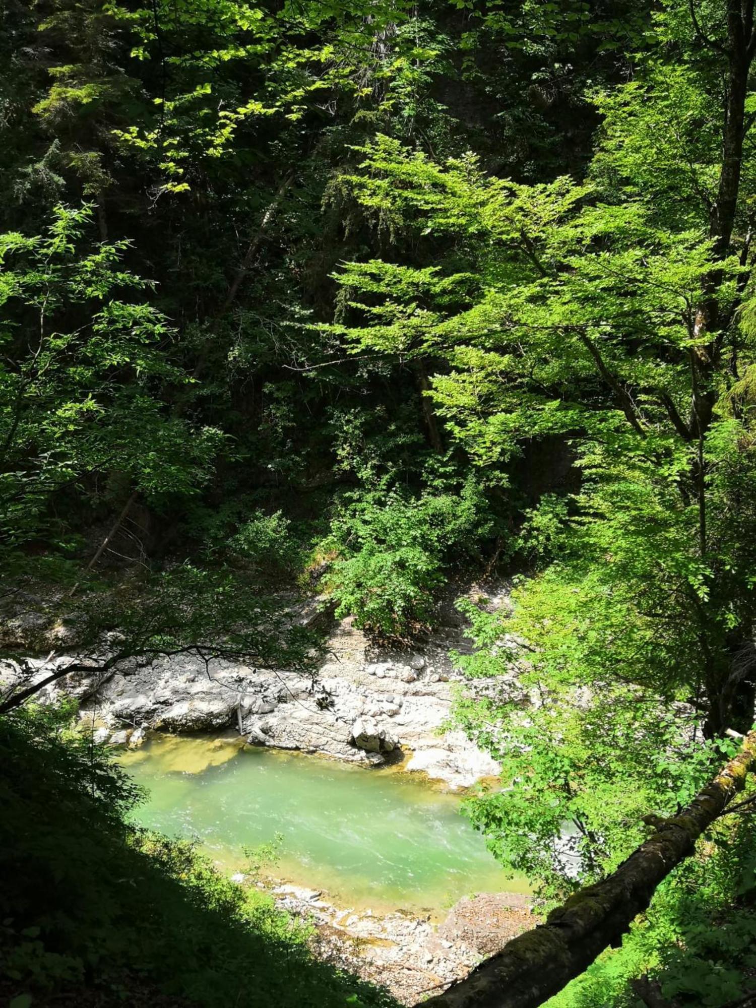 Wellnessoase Mit Sauna Und Whirlpool Inzell Esterno foto